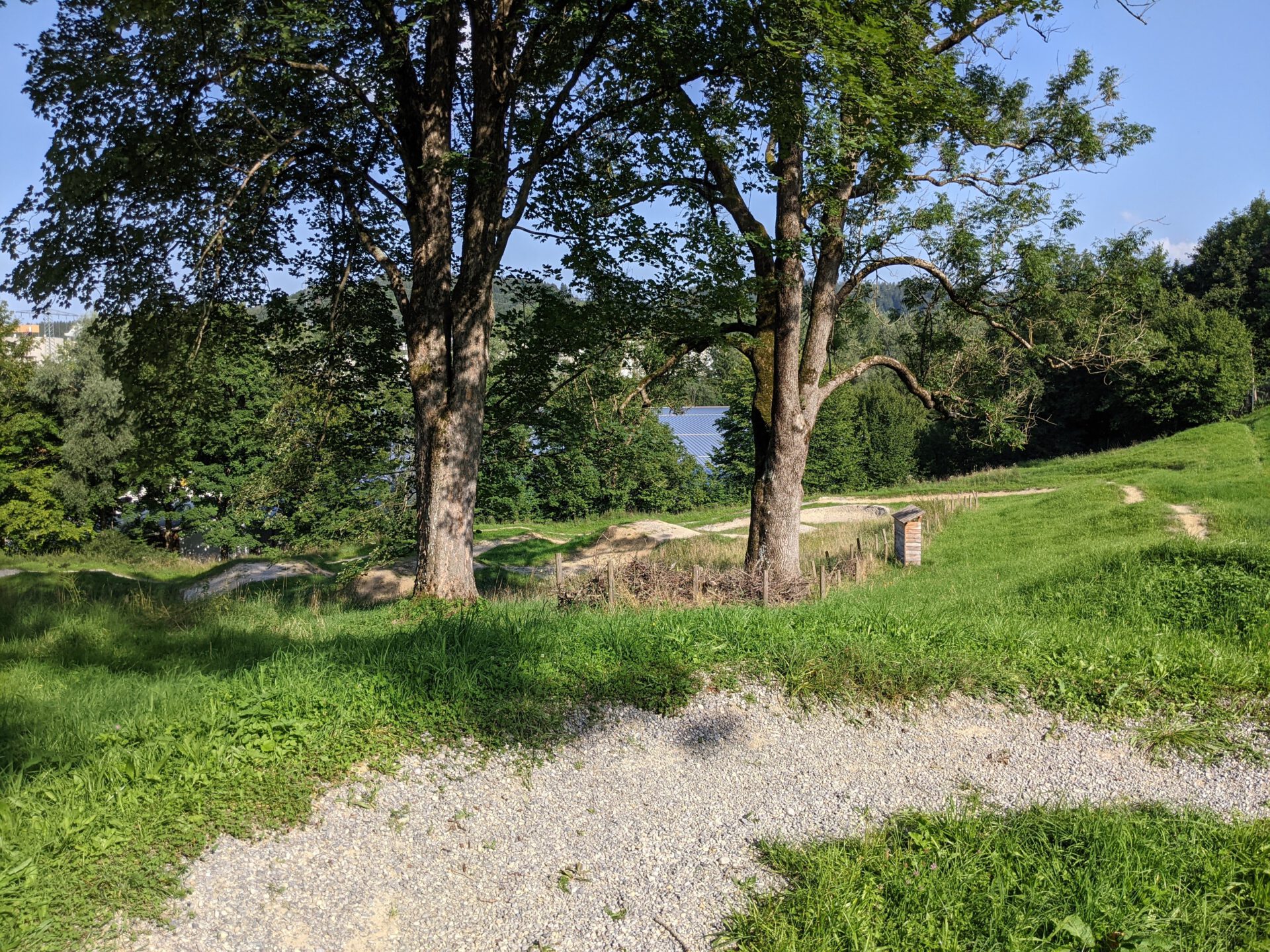 PXL_20210814_145916417